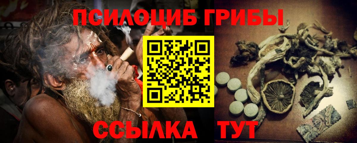 Галлюциногенные грибы Psilocybine cubensis  Вход с VPN  Ачхой-Мартан  Галлюциногенные грибы Psilocybe 